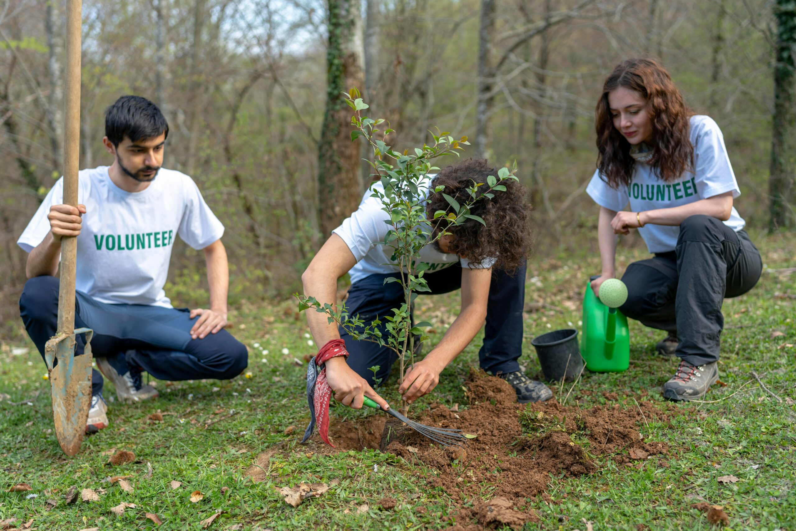 Ranon Teller-Volunteering