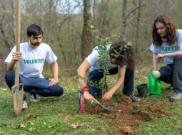 Ranon Teller-Volunteering